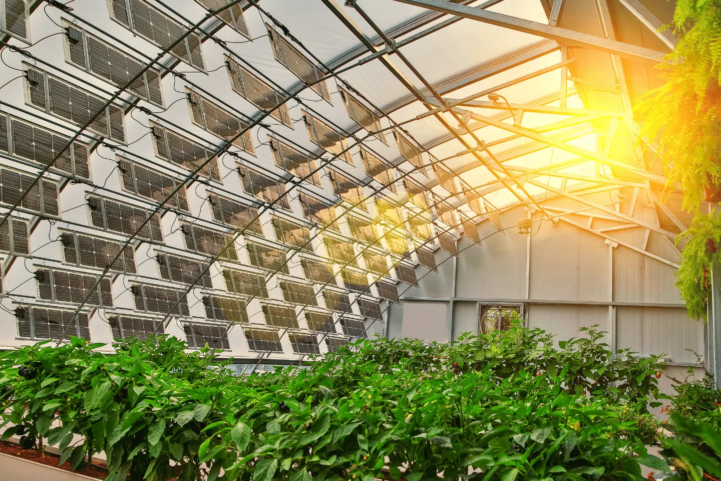 Projekt-bez-tytulu-2022-02-22T033915.103