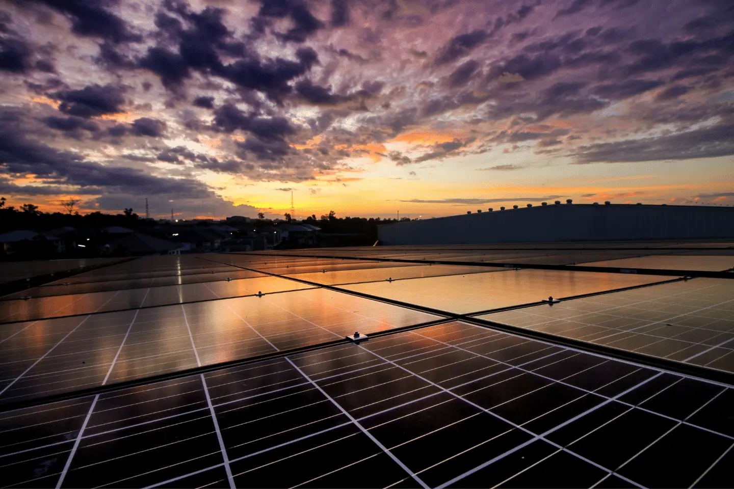 Projekt-bez-tytulu-2022-02-22T034030.236